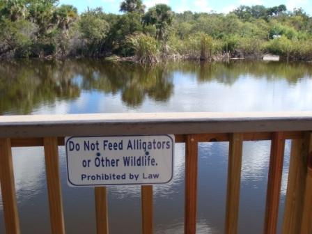 Merrit Island Alligator Warning